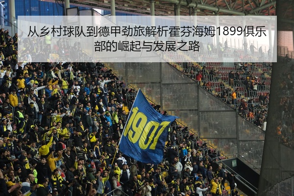 从乡村球队到德甲劲旅解析霍芬海姆1899俱乐部的崛起与发展之路