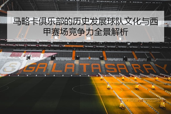 马略卡俱乐部的历史发展球队文化与西甲赛场竞争力全景解析