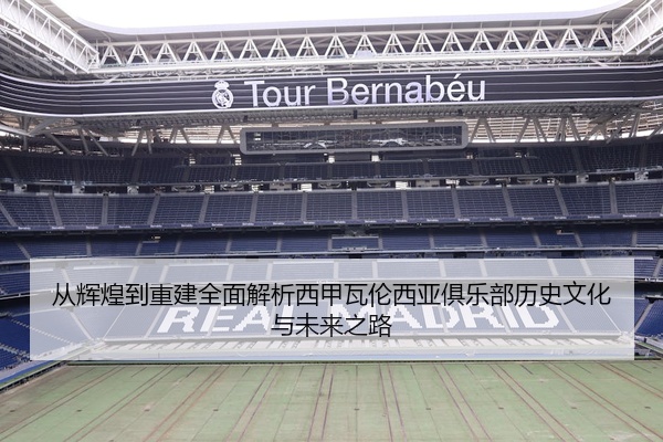 从辉煌到重建全面解析西甲瓦伦西亚俱乐部历史文化与未来之路