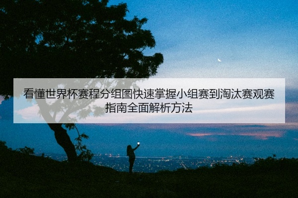 看懂世界杯赛程分组图快速掌握小组赛到淘汰赛观赛指南全面解析方法