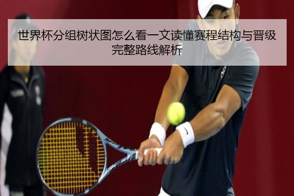 世界杯分组树状图怎么看一文读懂赛程结构与晋级完整路线解析