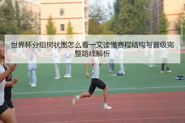 世界杯分组树状图怎么看一文读懂赛程结构与晋级完整路线解析