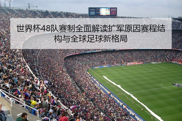 世界杯48队赛制全面解读扩军原因赛程结构与全球足球新格局