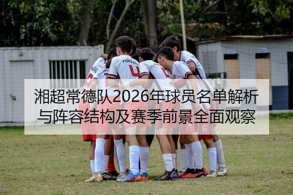 湘超常德队2026年球员名单解析与阵容结构及赛季前景全面观察