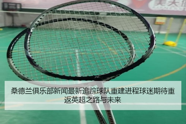 桑德兰俱乐部新闻最新追踪球队重建进程球迷期待重返英超之路与未来