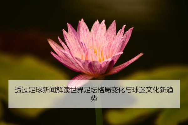 透过足球新闻解读世界足坛格局变化与球迷文化新趋势